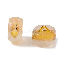 Светящиеся прозрачные акриловые бусины&nbsp;OACR-P037-01B-A