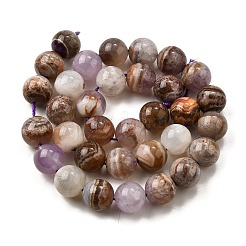 Нити бусин из натурального аметиста и кружевного агата&nbsp;G-H312-C01-12mm