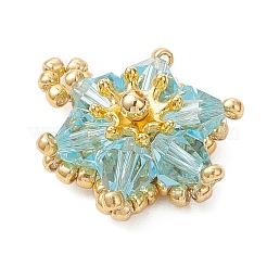 Стеклянные подвески&nbsp;PALLOY-MZ01209-03