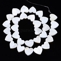 Нити бусин из натуральных пресноводных ракушек&nbsp;X-SHEL-N027-21