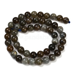 Природные лабрадорита бисер нитей&nbsp;LS-G-I253-01-8mm