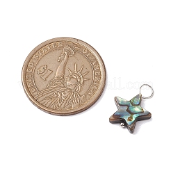 Подвески из натурального ушка / ракушки&nbsp;PALLOY-JF02701-01