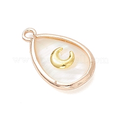 3 шт. 3 стиля подвески-слезинки из натуральной ракушки пауа&nbsp;PALLOY-JF03762