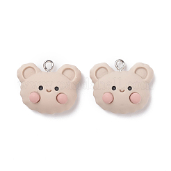 Подвески из непрозрачной смолы&nbsp;LS-RESI-F030-01