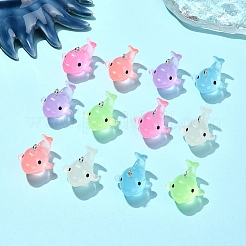 12шт 6 цвета светящиеся полупрозрачные подвески из смолы&nbsp;RESI-YW0001-85