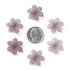 Прозрачные акриловые бусины&nbsp;MACR-S373-117-D11