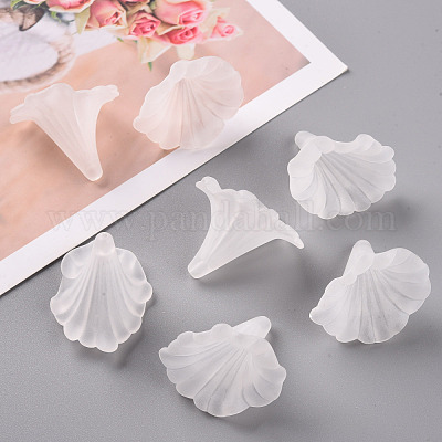 Прозрачные акриловые бусины&nbsp;BSF796-1