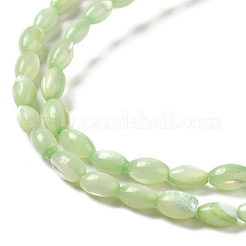 Нити бусин из натуральной ракушки трохус&nbsp;SHEL-K006-19E