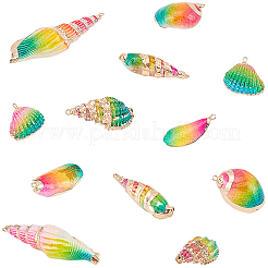 12 шт. 6 стиля гальванизированные натуральные смешанные ракушки большие подвески&nbsp;SSHEL-GA0001-06