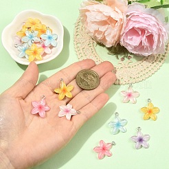 20шт подвески из прозрачной смолы&nbsp;RESI-YW0006-06