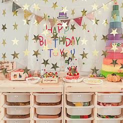 10 шт. бумажные звездные поздравительные баннеры&nbsp;AJEW-CN0005-40B