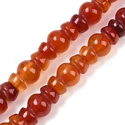 Бусины из натурального красного агата (окрашенные и нагретые)&nbsp;G-P595-B02-01