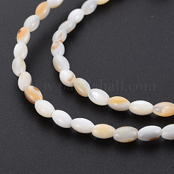 Нити бусин из натуральных пресноводных ракушек SHEL-N027-08B