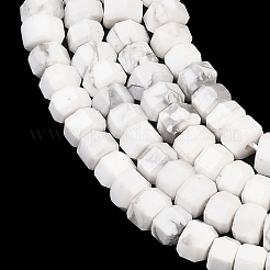 Природные Говлит бисер нитей&nbsp;G-G345-C01-2x4mm