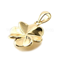 Латунные подвески&nbsp;KK-V011-52G