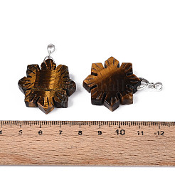 Природных тигровый глаз подвески&nbsp;G-T144-12F