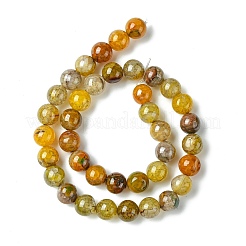 Окрашенные естественно дракон жил агат бисер пряди&nbsp;G-C068-10mm-15