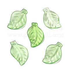 Прозрачные акриловые подвески&nbsp;X-DBLA156-8