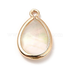 Латунь эмаль подвески KK-K252-10G-06