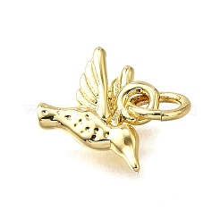 Латунь подвески&nbsp;KK-B136-18G