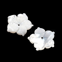 Резные бусины из натуральной белой ракушки&nbsp;SSHEL-I026-12E-06