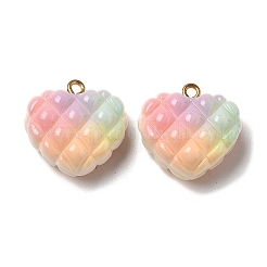 Подвески из непрозрачных смоляных бусин радужных цветов в виде вафель&nbsp;RESI-F035-01