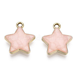 Подвески из эмали и сплава&nbsp;ENAM-T011-206