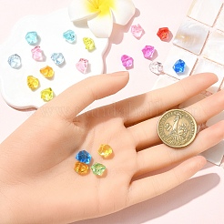 10 шт прозрачные акриловые бусины&nbsp;TACR-YW0003-02A