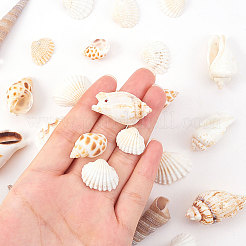 Бусины из натуральных раковин морского гребешка&nbsp;SSHEL-CJ0001-02