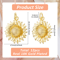 12шт латунные подвески&nbsp;KK-HS0015-34