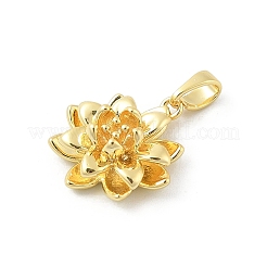 Латунные подвески&nbsp;KK-E791-11G