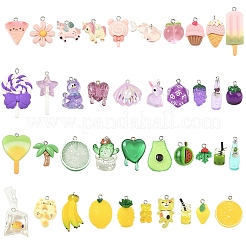 10шт 10 стиля подвески из непрозрачной и прозрачной смолы&nbsp;RESI-YW0005-18