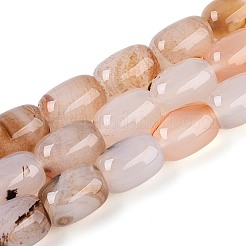 Натуральный красный агат бисер нитей&nbsp;G-T144-44F