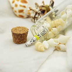 Стеклянные бутылки желающих&nbsp;DJEW-J001-04