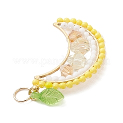 Круглые стеклянные бусины в виде фруктов&nbsp;PALLOY-MZ00864-04