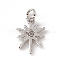 Латунные микро проложить кубического циркония подвески&nbsp;ZIRC-F132-34P