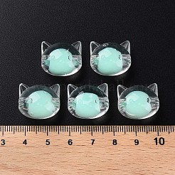 Прозрачные акриловые бусины&nbsp;X1-MACR-S373-115-B03