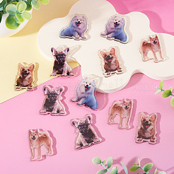 8шт 4 стиля акриловые подвески с принтом&nbsp;OACR-TA0004-14B