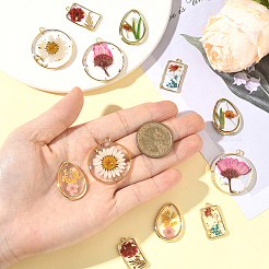 12 шт.&nbsp;RESI-SC0036-60B