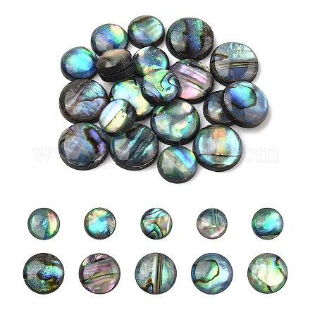 20 шт. 2 стиля натуральных кабошонов из ракушек пауа SHEL-YW0001-09-1