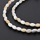 Нити бусин из натуральных пресноводных ракушек&nbsp;SHEL-N027-08B-4