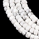 Природные Говлит бисер нитей&nbsp;G-G345-C01-2x4mm-4