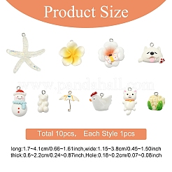 10шт 10 стиля непрозрачные подвески из смолы&nbsp;RESI-YW0005-35