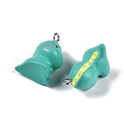 Подвески из непрозрачной смолы&nbsp;LS-RESI-D074-01B