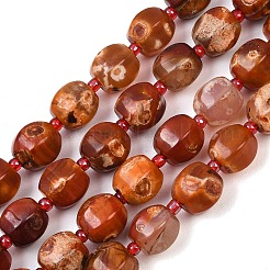 Природные пожары треск агат бисер нитей&nbsp;G-K393-C01-10mm