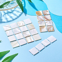 3 шт. 3 стиля натуральной ракушки для дизайна ногтей&nbsp;ODIS-TA0001-04