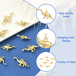 10шт 2 стиля латунные подвески&nbsp;KK-BBC0020-16