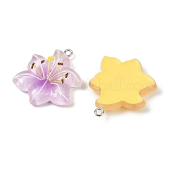 Подвески из смолы&nbsp;RESI-D016-04B