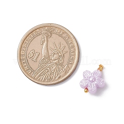 Непрозрачные акриловые подвески&nbsp;PALLOY-JF04333-02