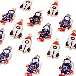 20шт 2 стиля подвески из цинкового сплава с эмалью&nbsp;ENAM-LS0001-17G